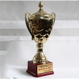 資質(zhì)榮譽(yù)